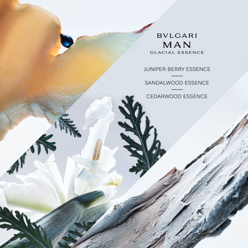 Man Glacial Essence Eau De Parfum For Him