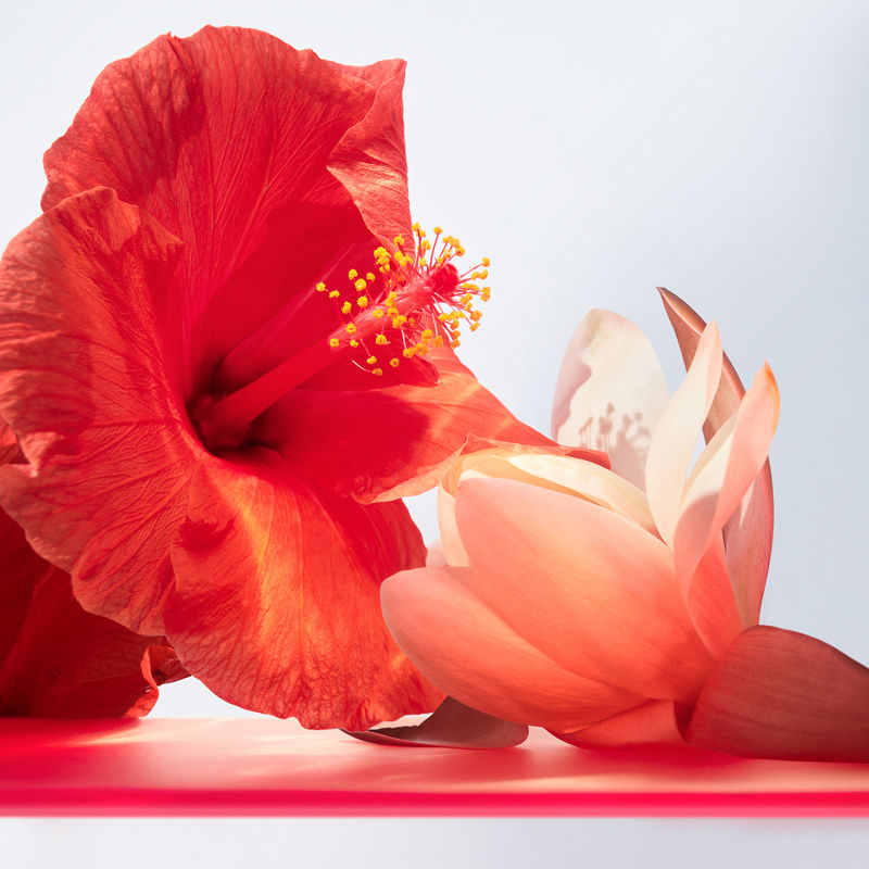 Omnia Coral Eau de Toilette For Her