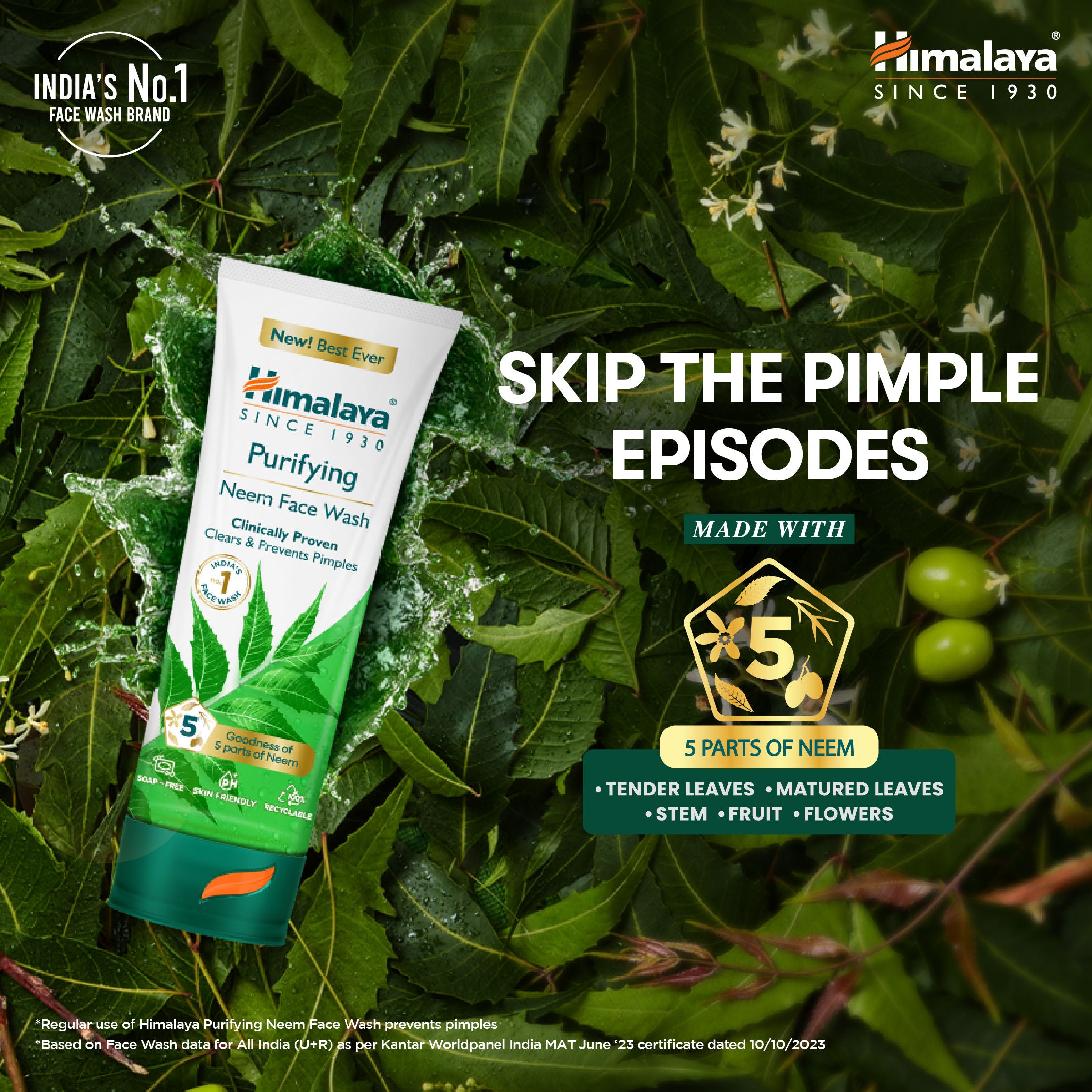 Purifying Neem Face Wash