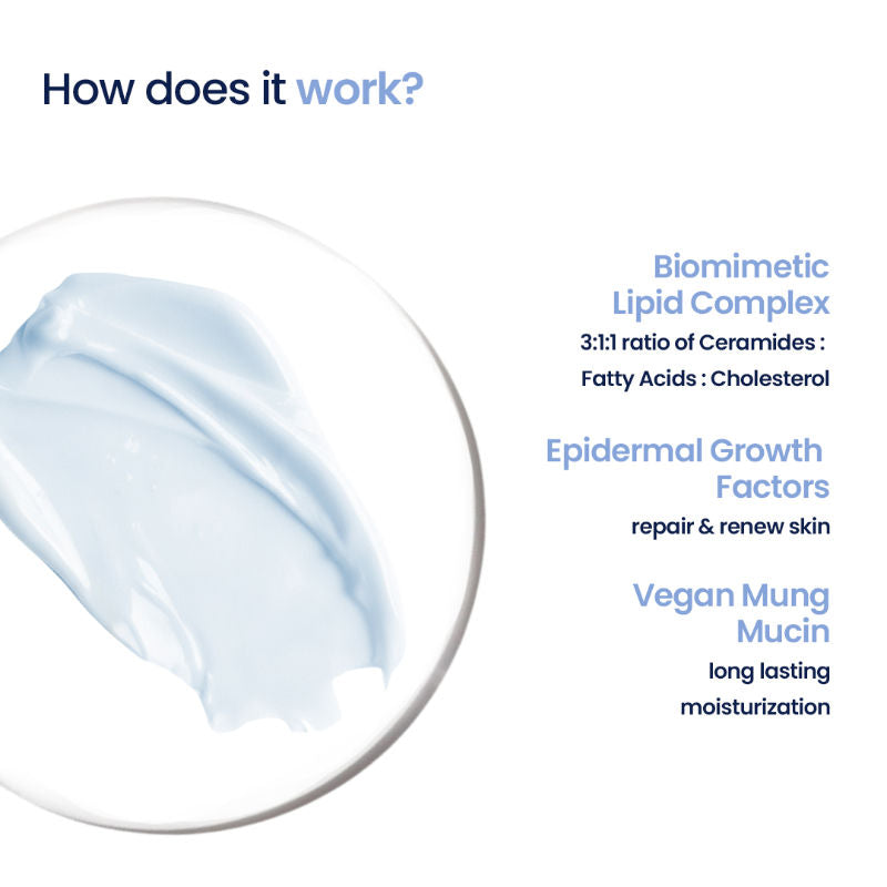 3:1:1 Barrier Bounce Moisturizer for Dry Skin with Ceramides &Mung Mucin for Barrier Repair