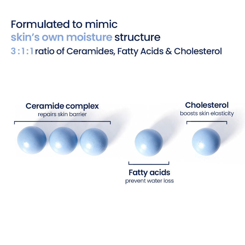 3:1:1 Barrier Bounce Moisturizer for Dry Skin with Ceramides &Mung Mucin for Barrier Repair