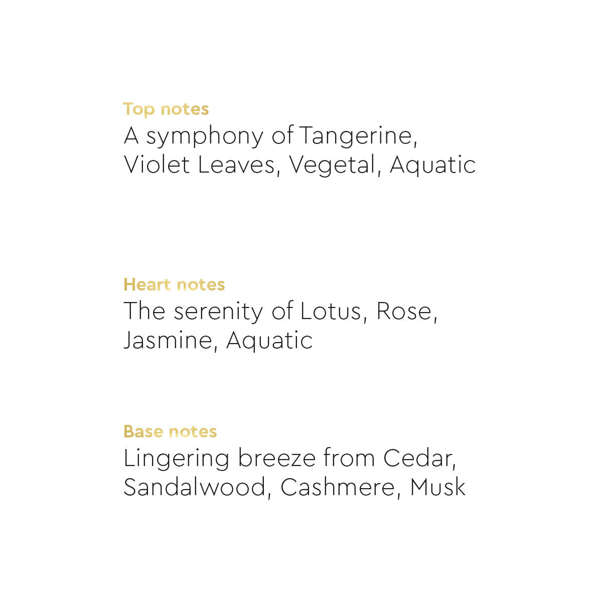 Queen Bee Body Mist