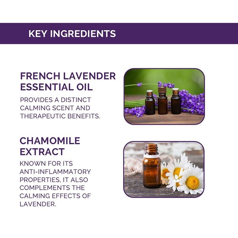 French Lavender Body Wash