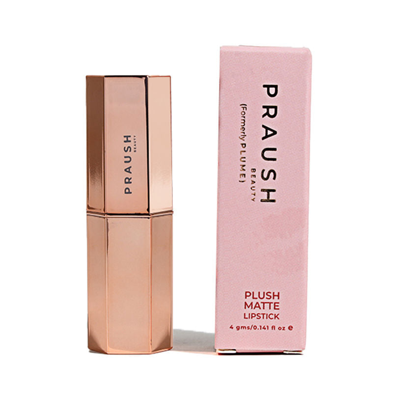 Plush Matte Lipstick