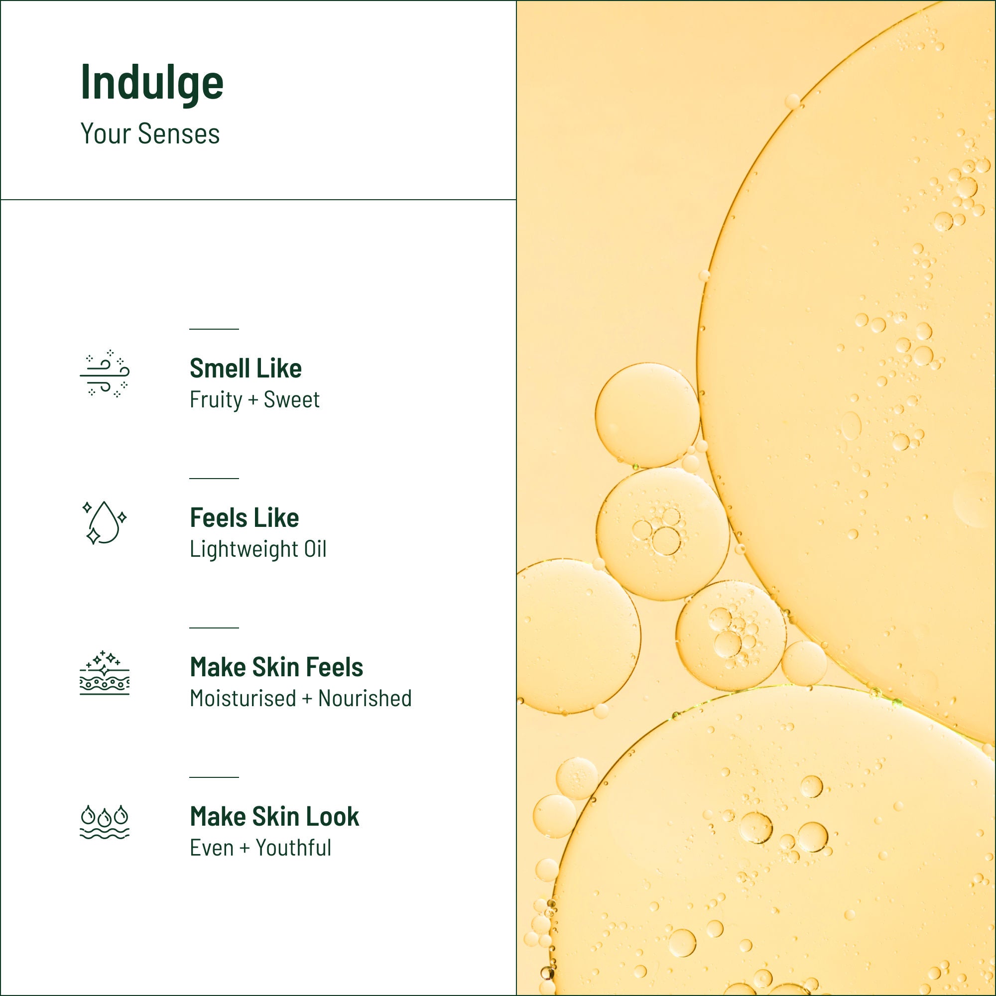 Renew Anti Aging Face Oil With Squalane, Apricot & Pomegranate Oils
