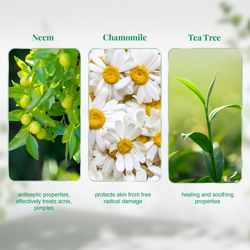 Neem Face Wash (Buy 1 Get 1) (Each 150ml)