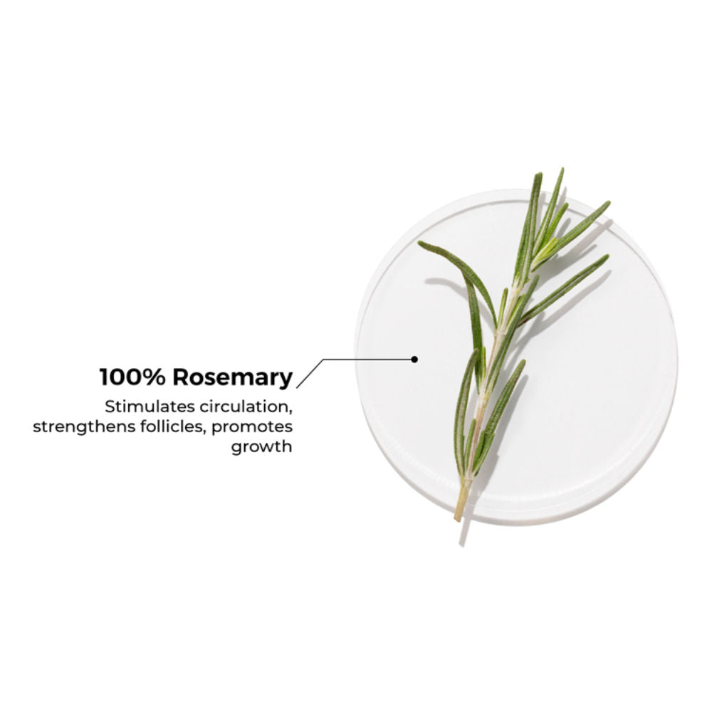 Pure Rosemary Essential Oil for Hair Growth & Scalp Nourishment
