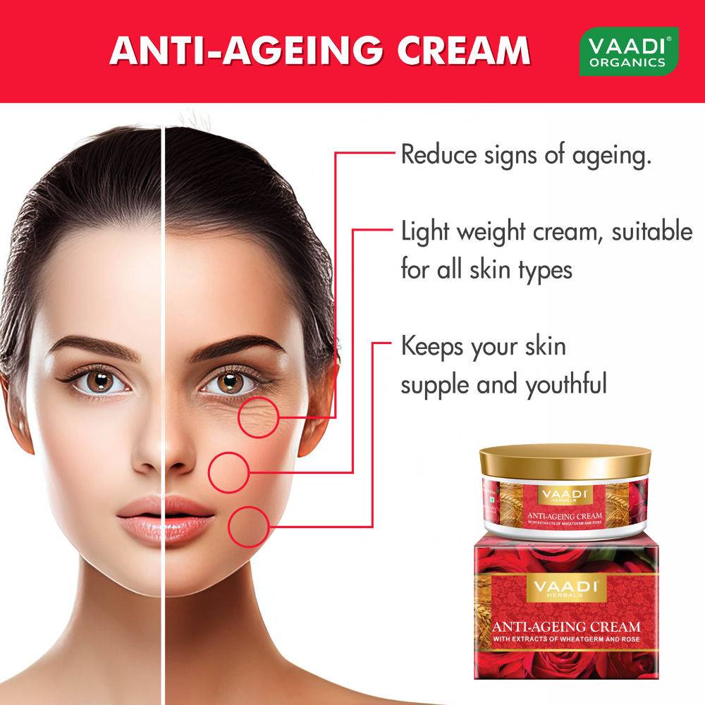 Anti Ageing Cream with Extracts Of Wheatgerm and Rose