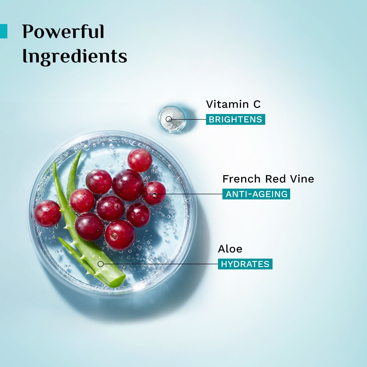 Red Vine Face Wash with Vitamin C & Aloe
