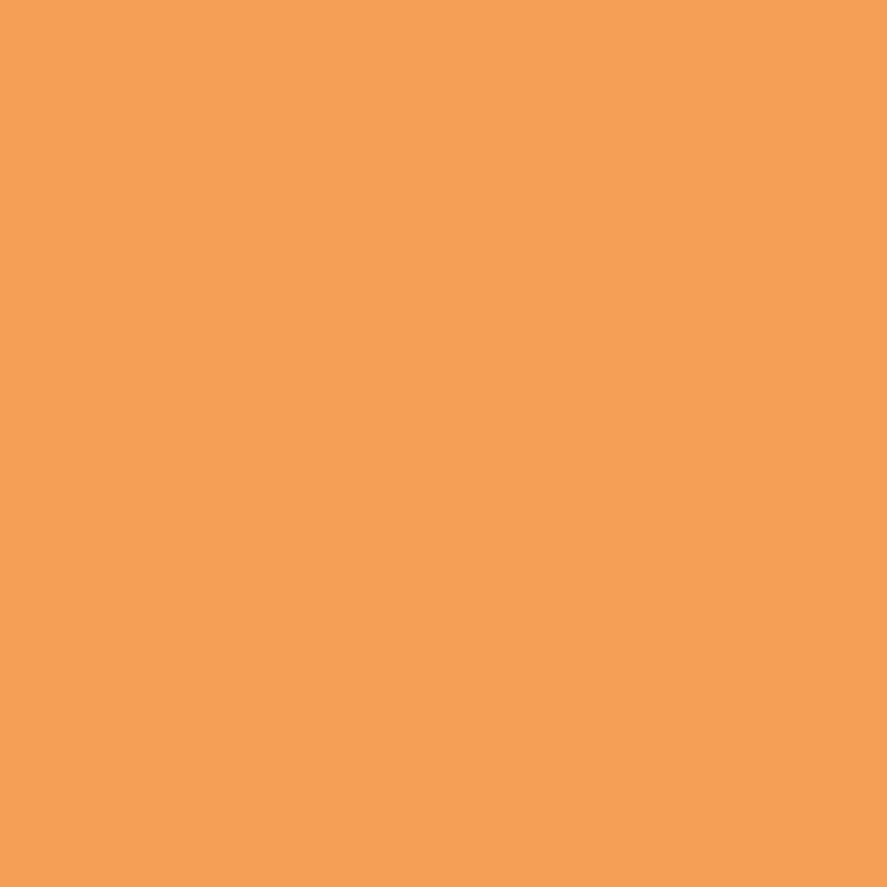 Tv Paint Stick
