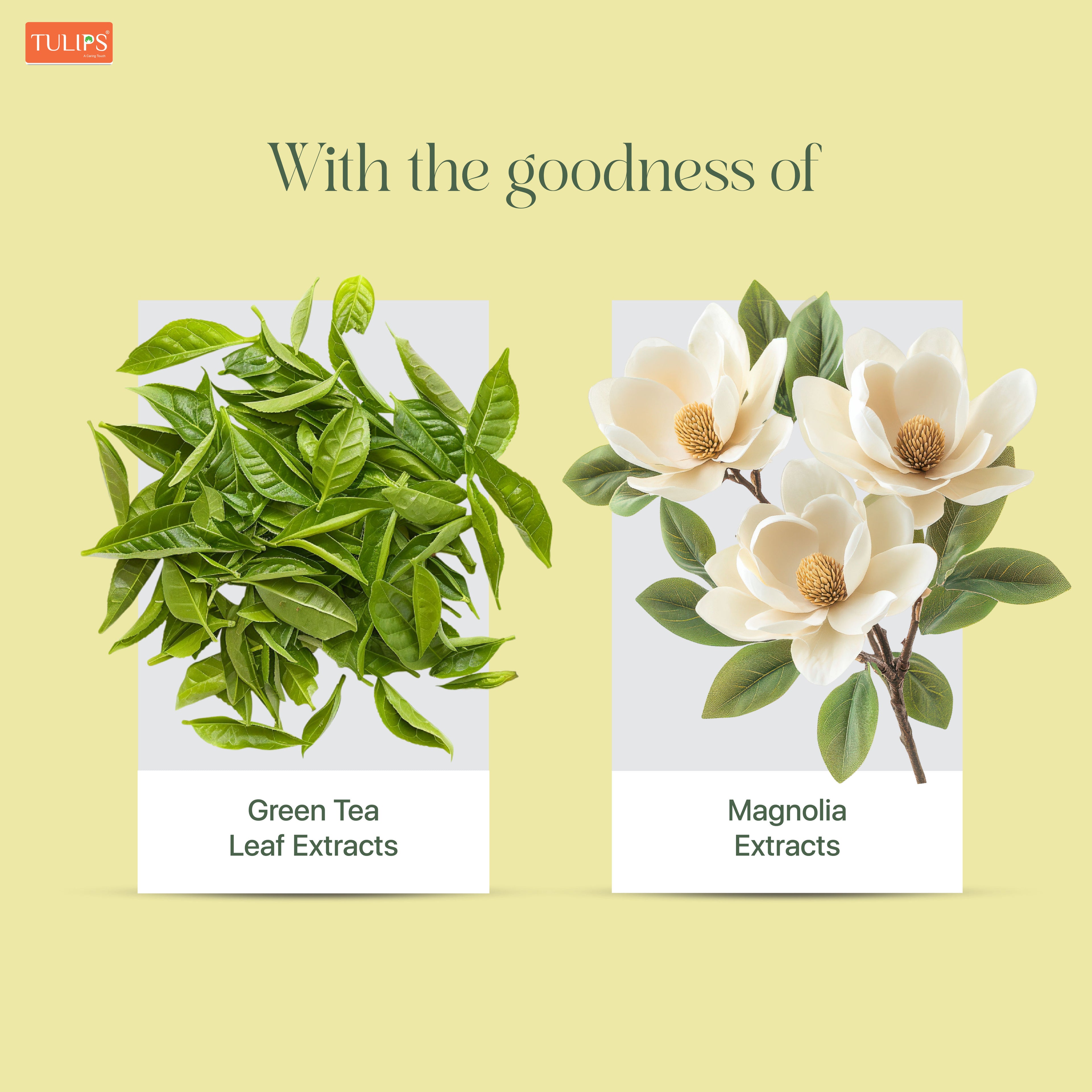 Refreshing, Daily Face Cleaning Wet Wipes Magnolia Fragrance