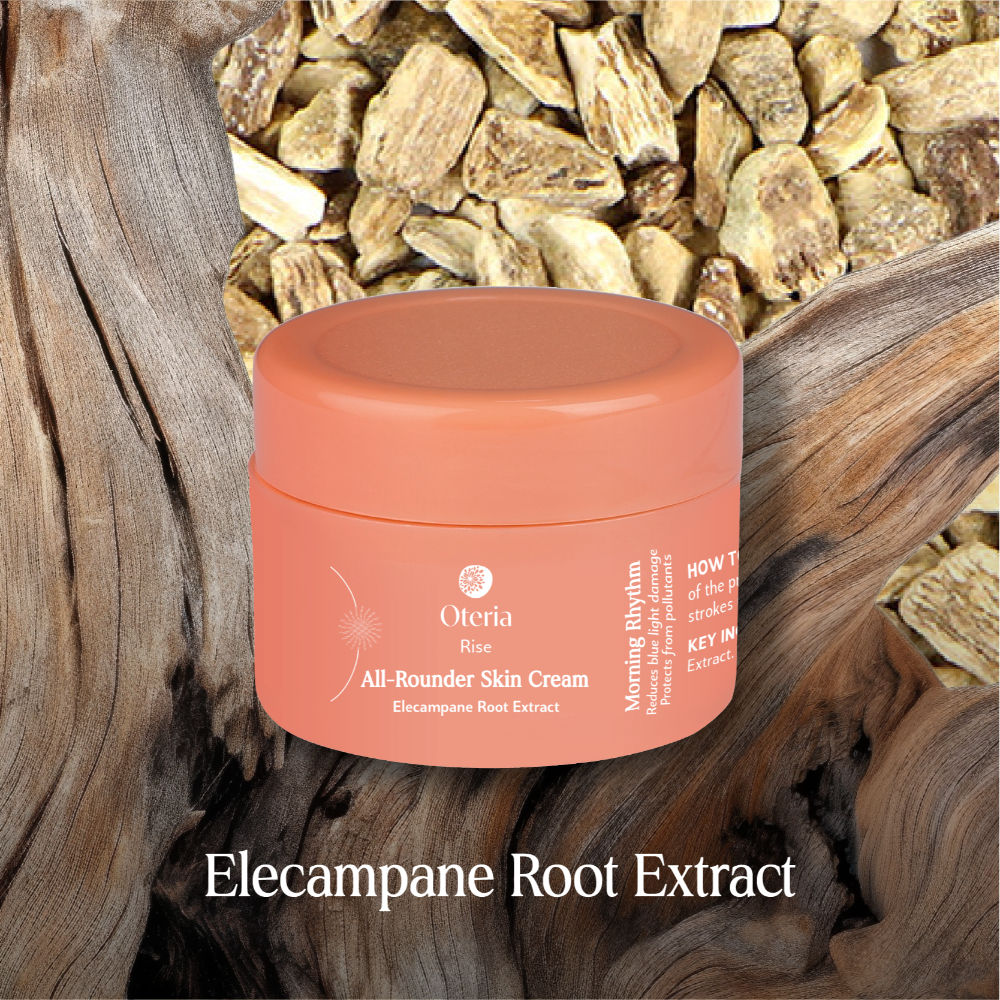 All Rounder Skin Day Cream With Elecampane Root Extract For Pigmentation And Dark Spots