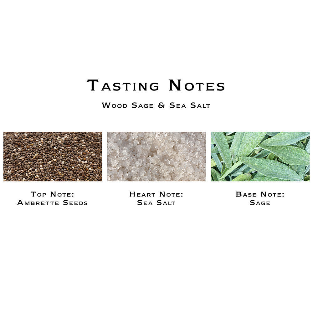 Wood Sage & Sea Salt Classic Candle
