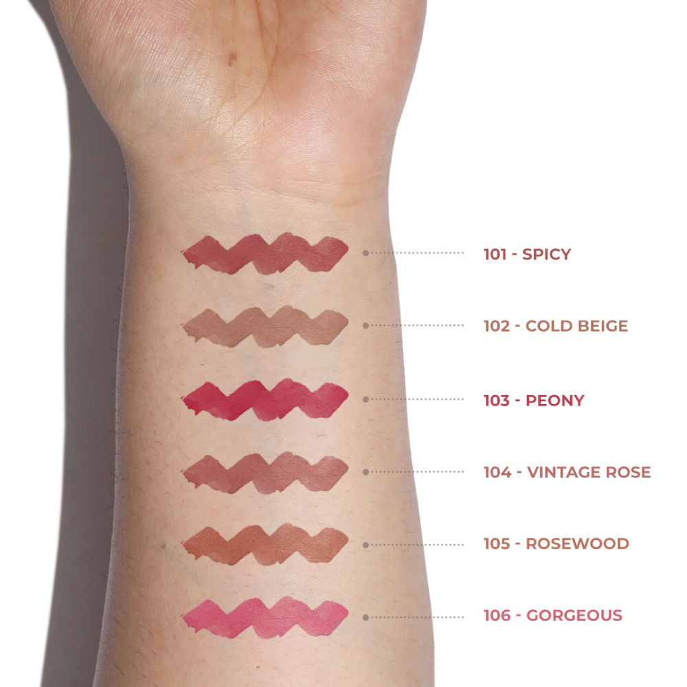 Lip Powder Lipstick