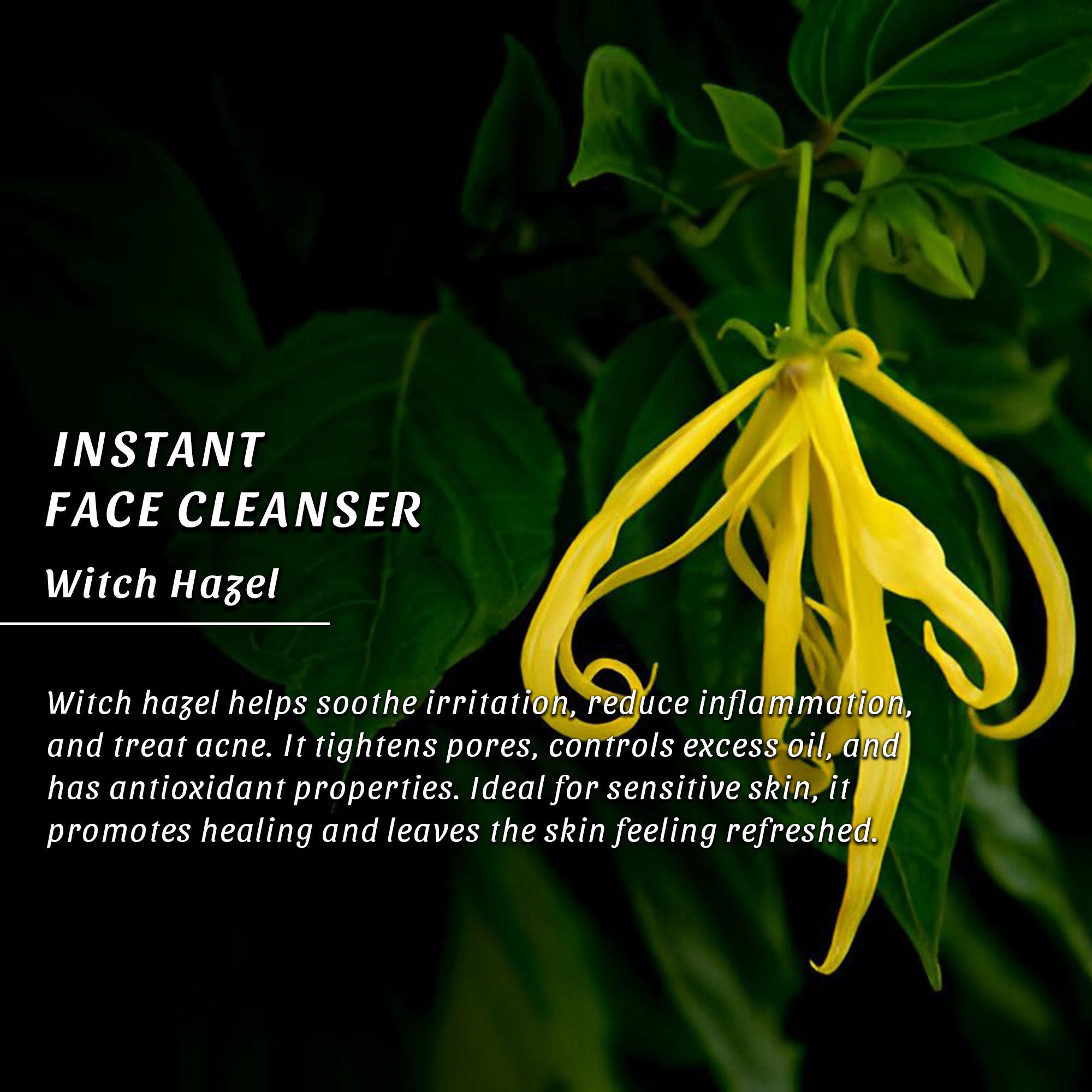 Anti- Bacterial Instant Face Cleanser
