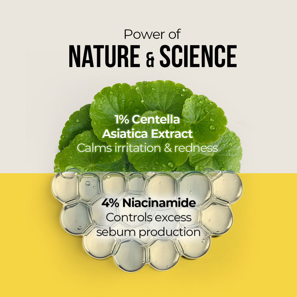 Centella & Niacinamide Oil-Free Matte Sunscreen SPF 50+ PA++++