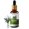Eucalyptus Essential Oil