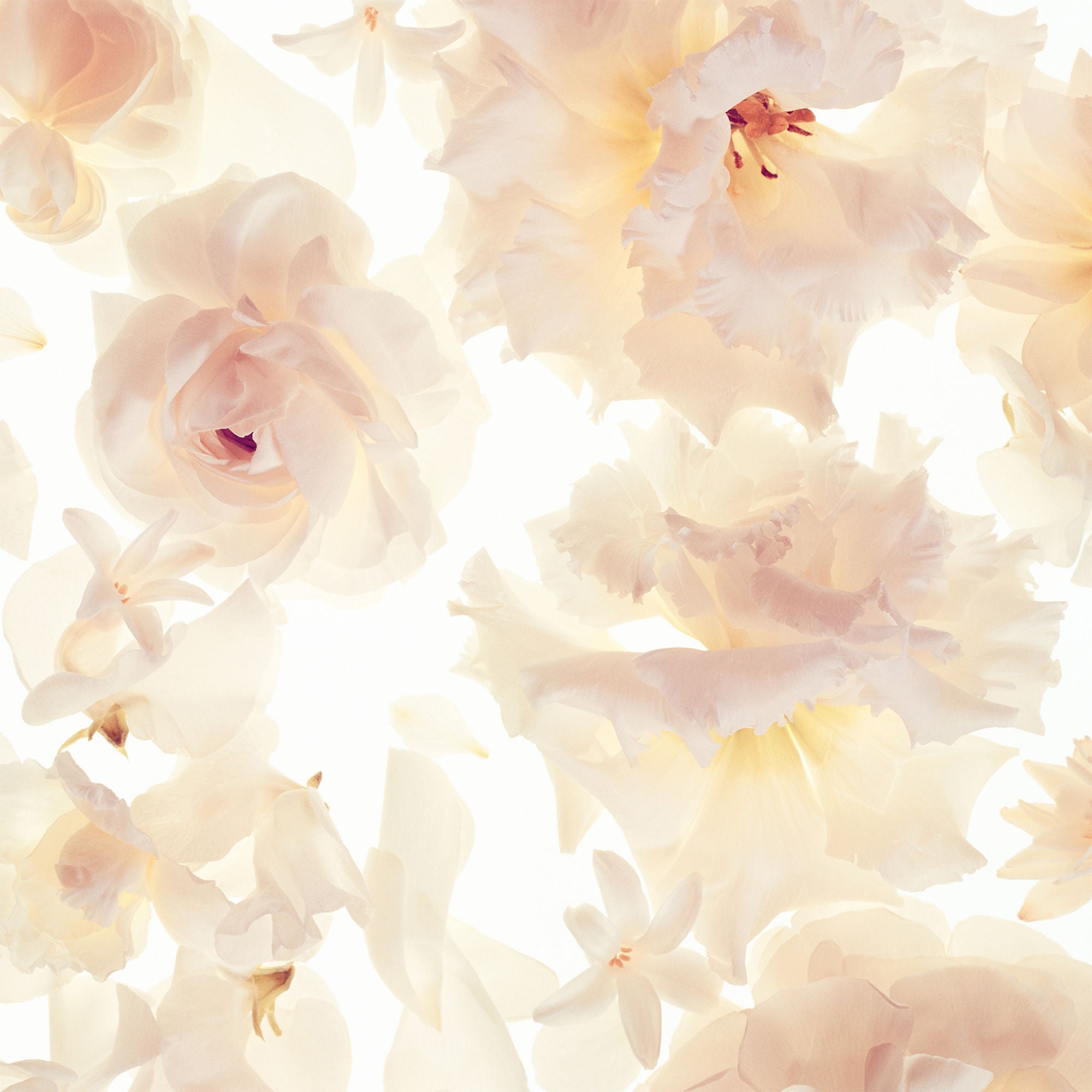Gorgeous Eau De Parfum