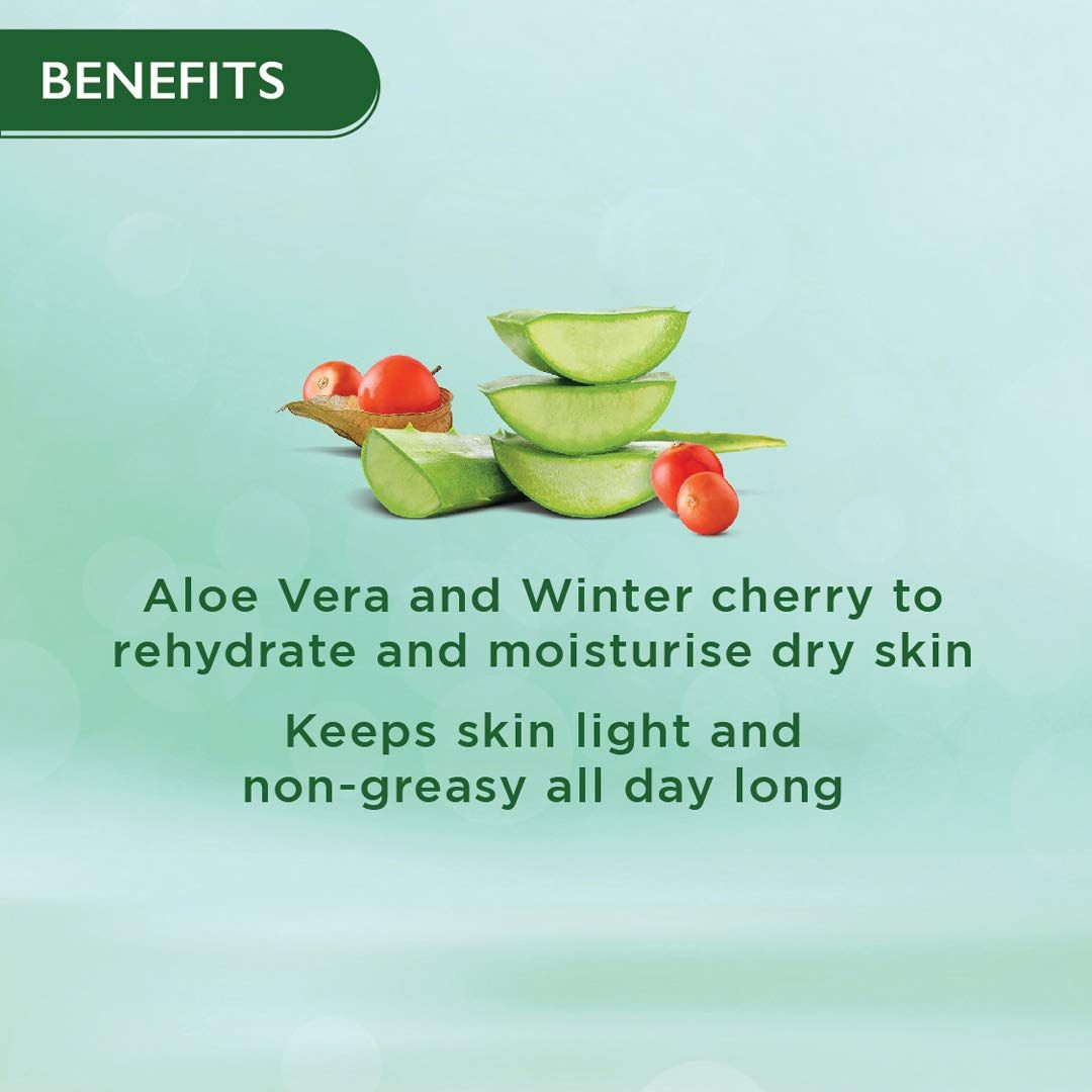 Nourishing Skin Cream