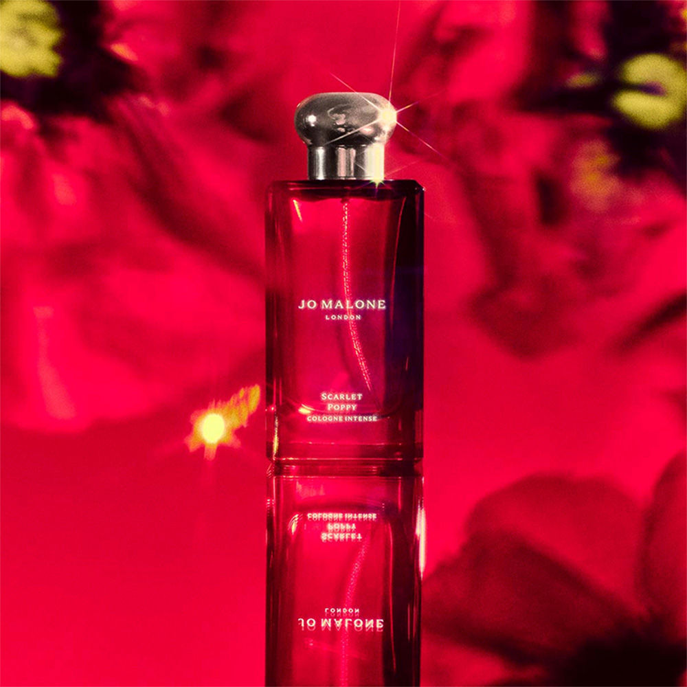Cologne Intense Collection