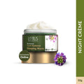 Bio-Retinol Youth Radiance Sleeping Mask