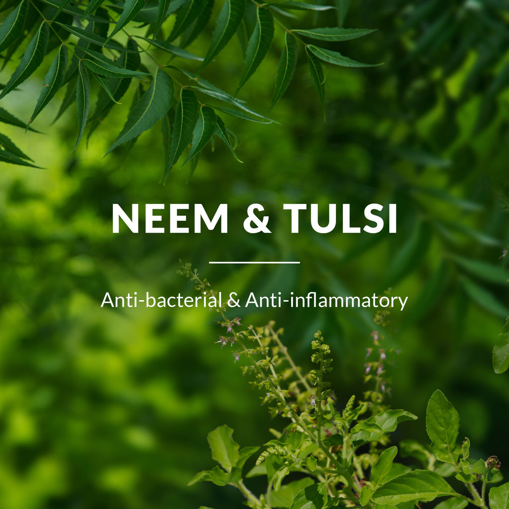 Neem, Tulsi & Salicylic Acid Gentle Foaming Face Wash