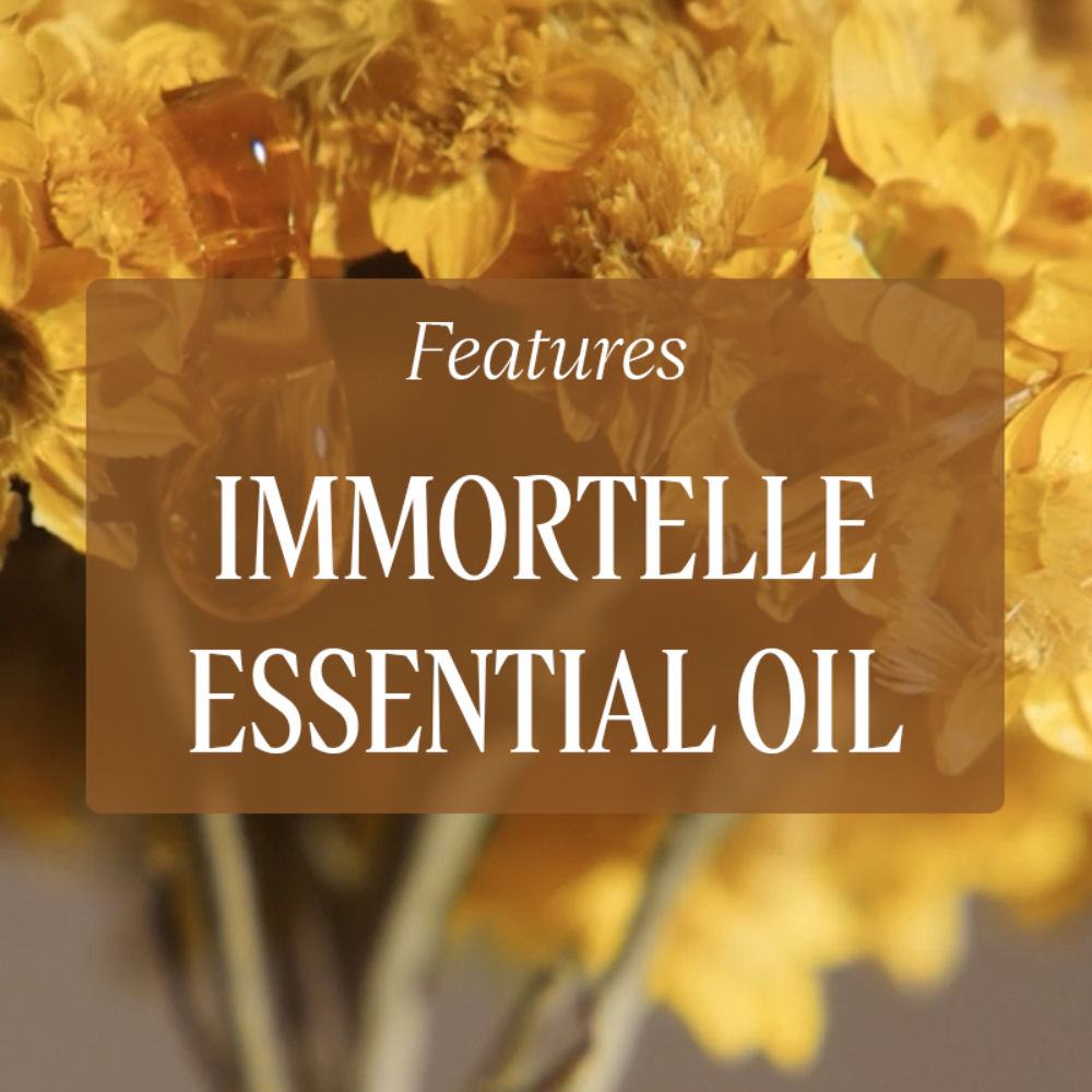 Immortelle Reset Serum Refill