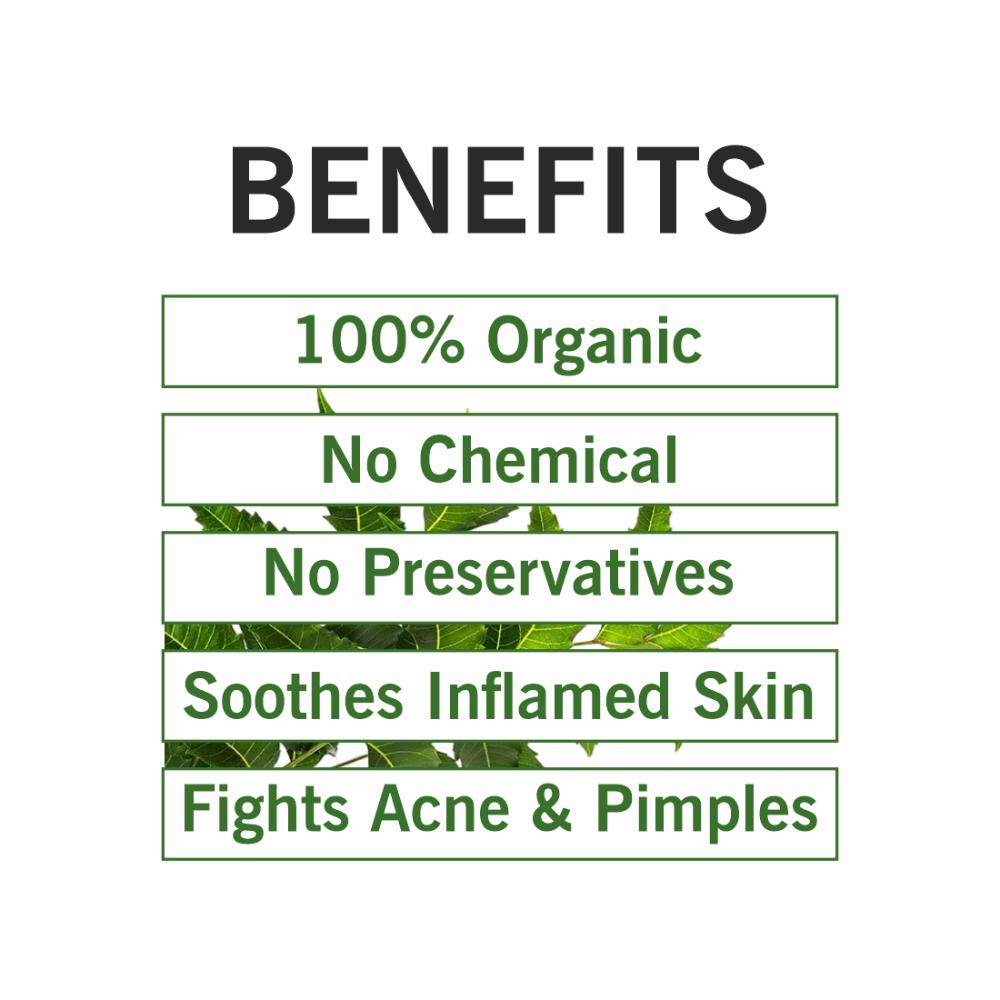 Natural Neem Leaf Organic Powder For Oil Control & Deep Cleanses