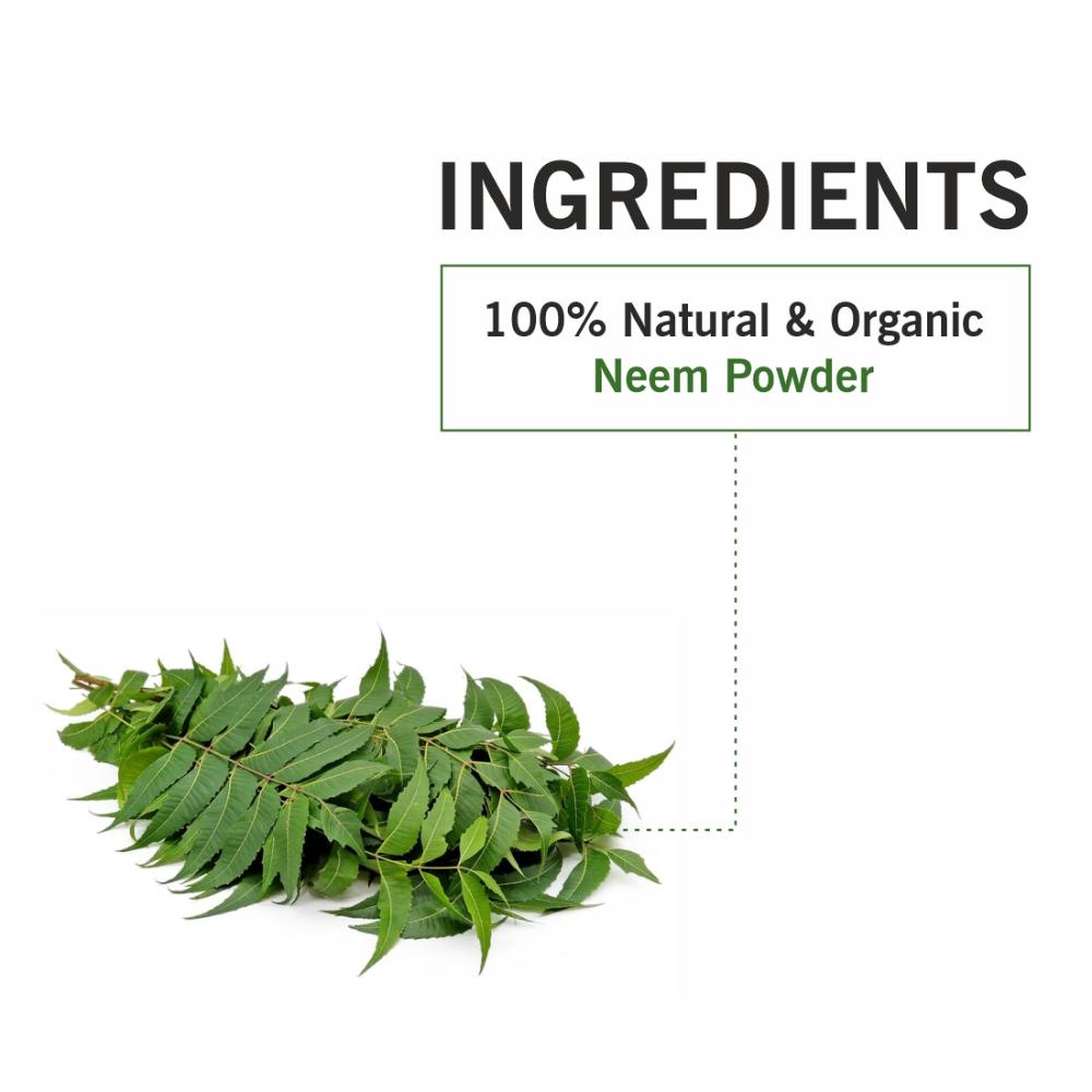 Natural Neem Leaf Organic Powder For Oil Control & Deep Cleanses
