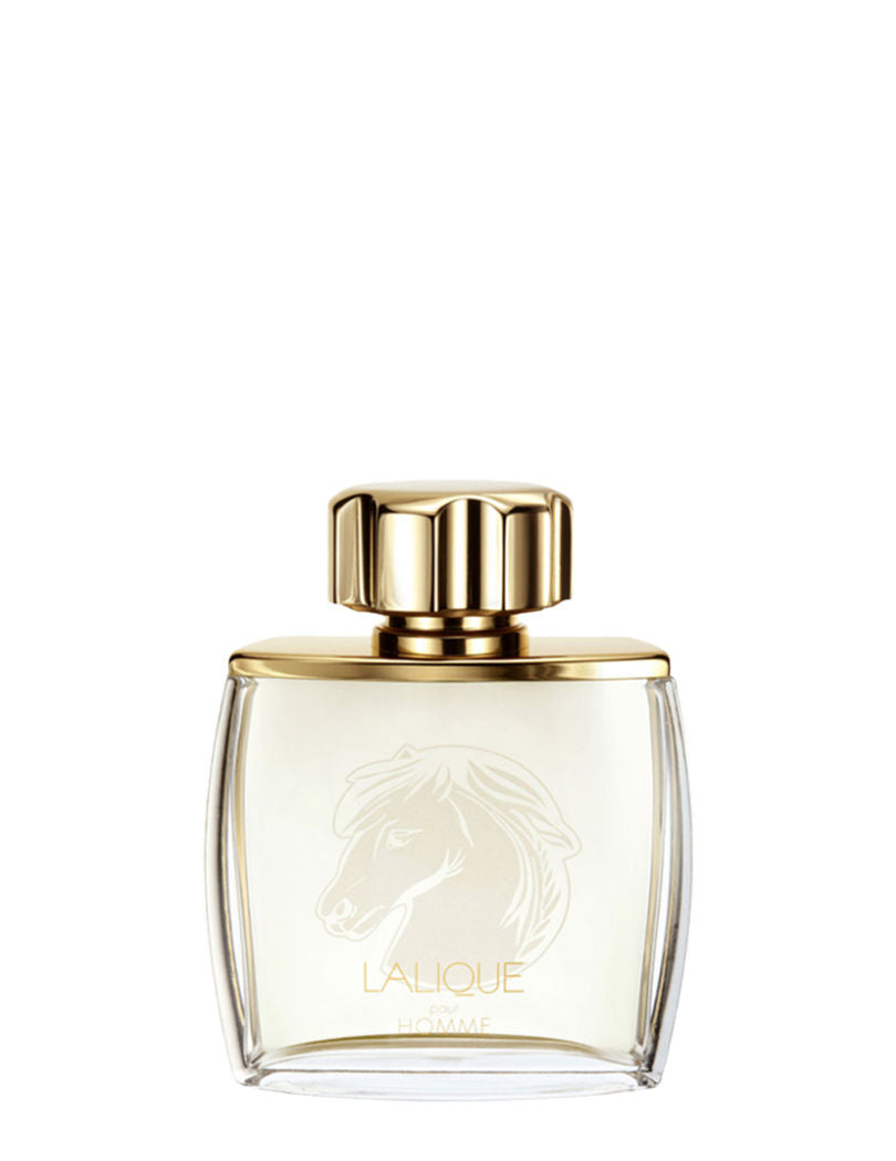 Pour Homme Equus Edp 75ml For Her