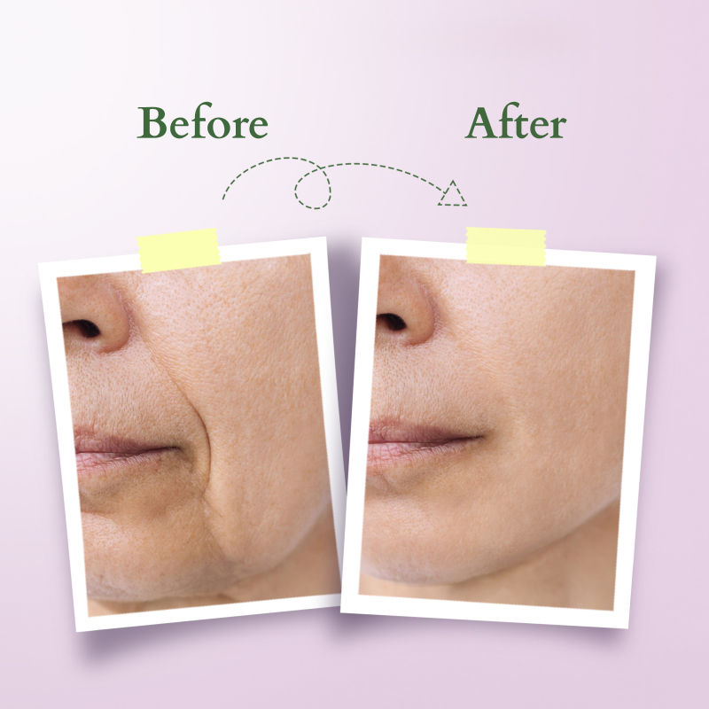 Lotus Organics+ Bakuchiol Plant Retinol Recovery Night Cream