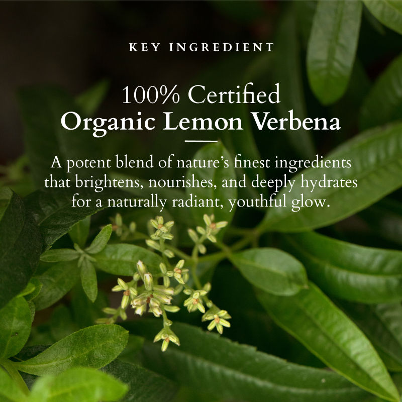 Vit-C Radiance Booster Serum - Lemon Verbena