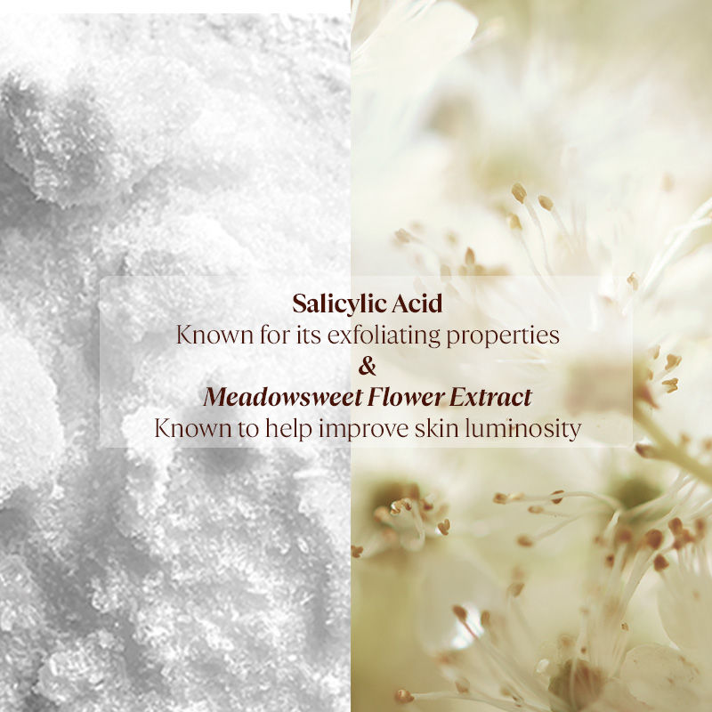 Reine Blanche Brightening Face Scrub