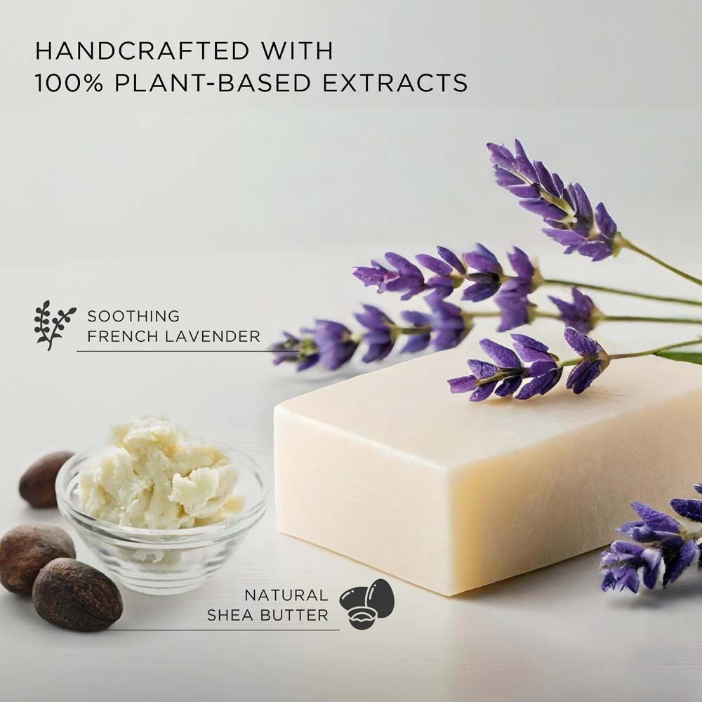 The French Note Lavender Bathing Soap, Handmade With Shea Butter, Aloe Vera & Vitamin E