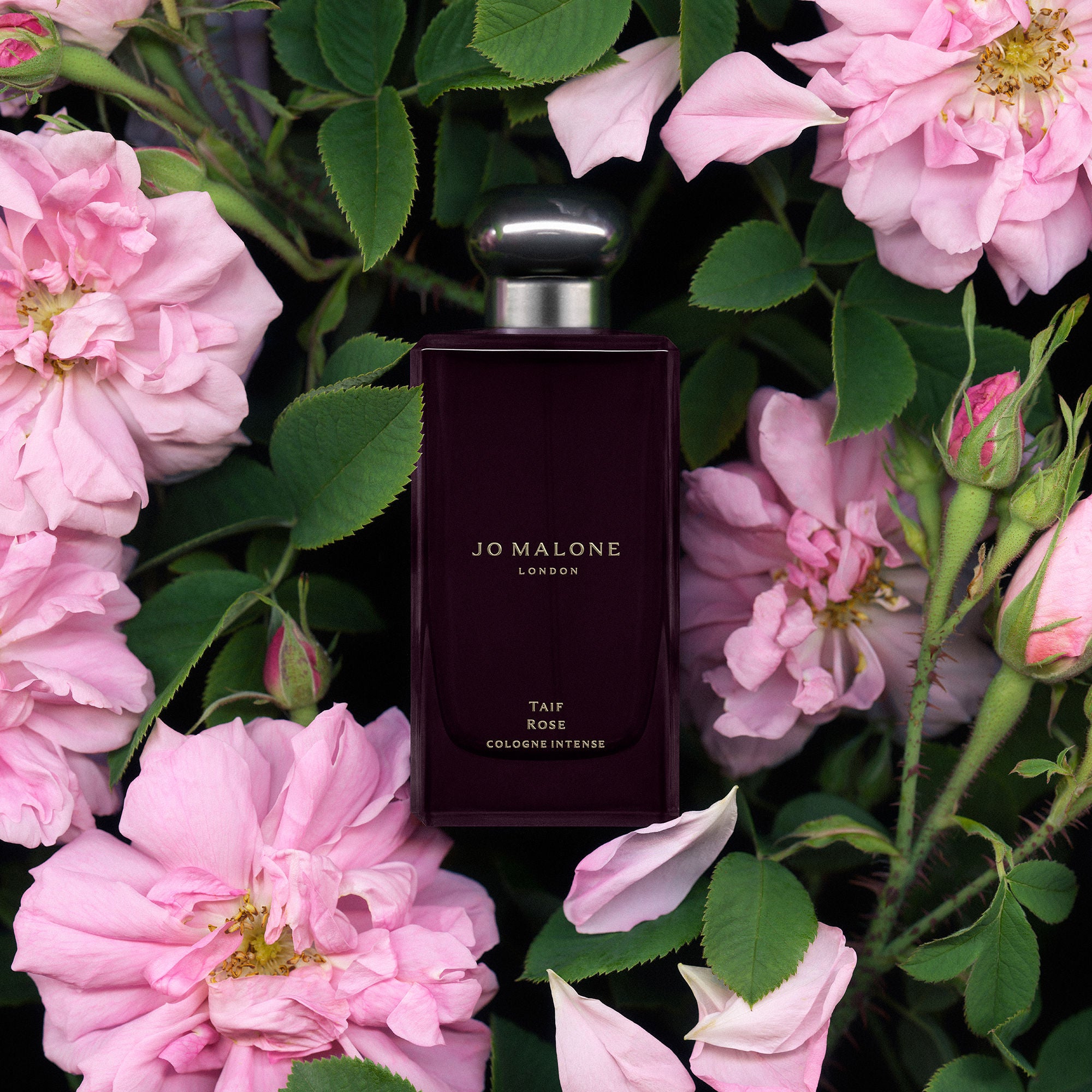 Cologne Intense Taif Rose