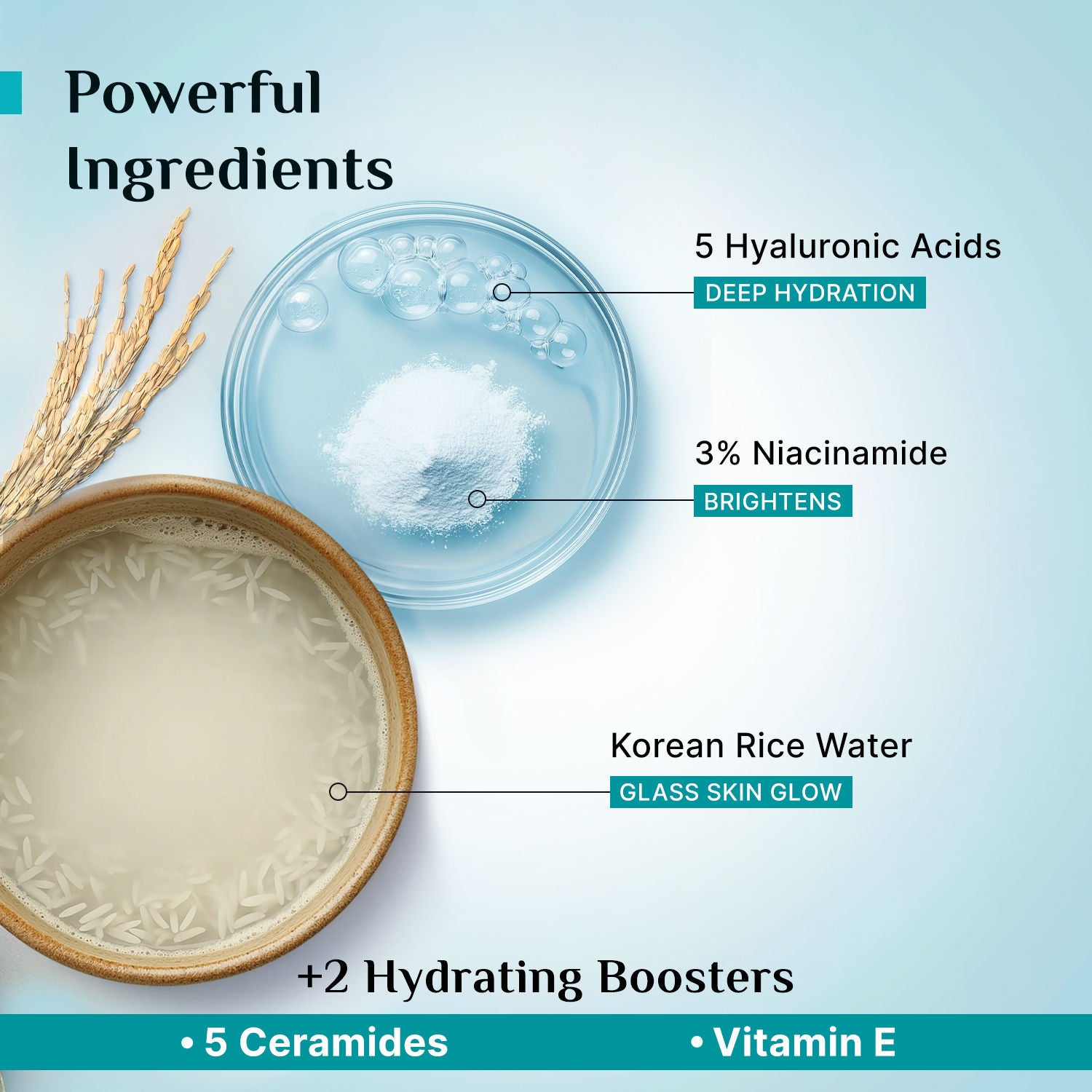 Korean Rice Water Hydra Glow Light Gel Moisturizer