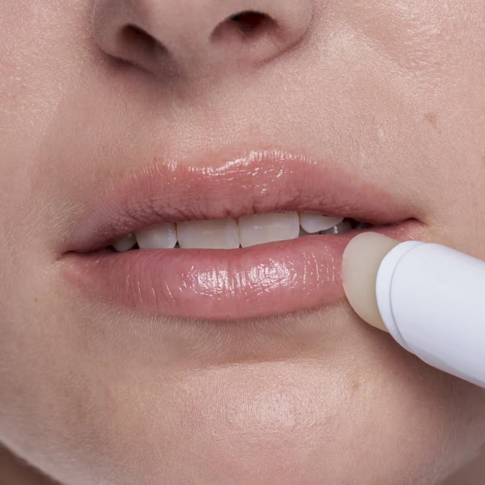Xemose Lip Balm Shea Butter Vitamin C Dermat Recommended for Very Dry Sensitive Chapped Lips