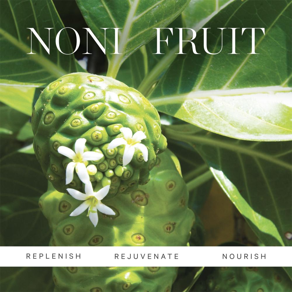 Noni Glow Face Oil- Nourishes Brightens Smooths With Noni Rosehip Pomegranate Seed Oil