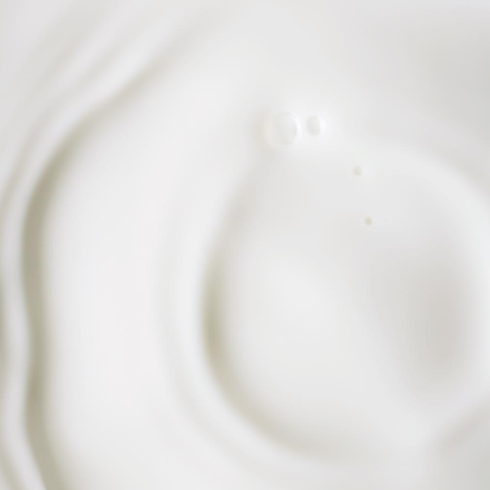 Plant Stem Cell Retinol Alternative Serum Firms Smooths Protect With Bakuchiol Rosehip