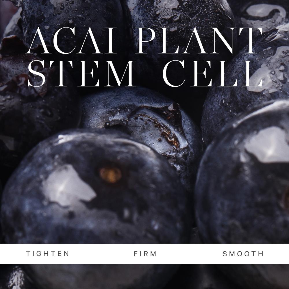 Plant Stem Cell Retinol Alternative Serum Firms Smooths Protect With Bakuchiol Rosehip