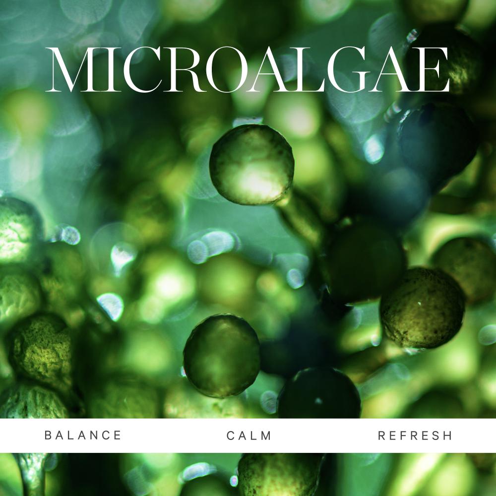 Active Algae Cleansing Balm - Removes Makeup Soothes Hydrates With Jojoba & Squalane