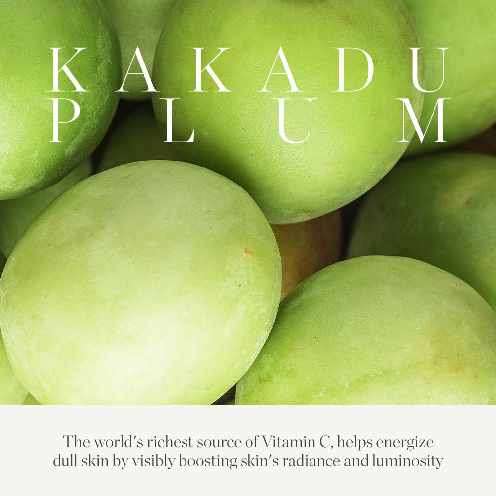 Kakadu Plum Vitamin C Eye Cream Target Fine Lines Wrinkles For Firm & Youthful Skin.