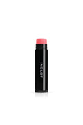 Rich Care Lipstick