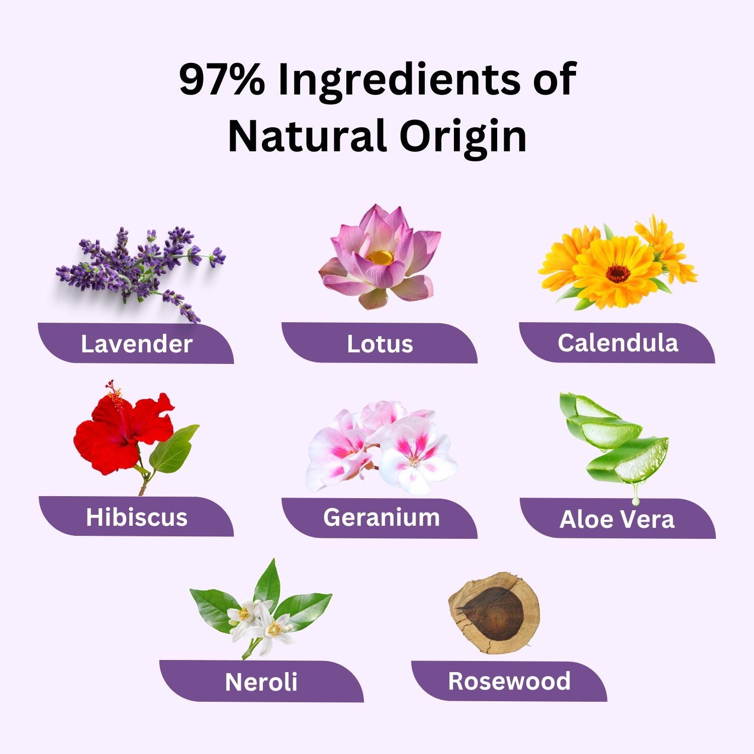 Lavender Face Wash