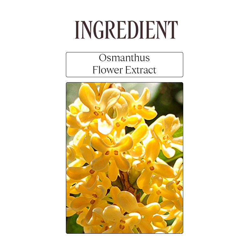 Osmanthus Abricot Perfumed Shower Gel