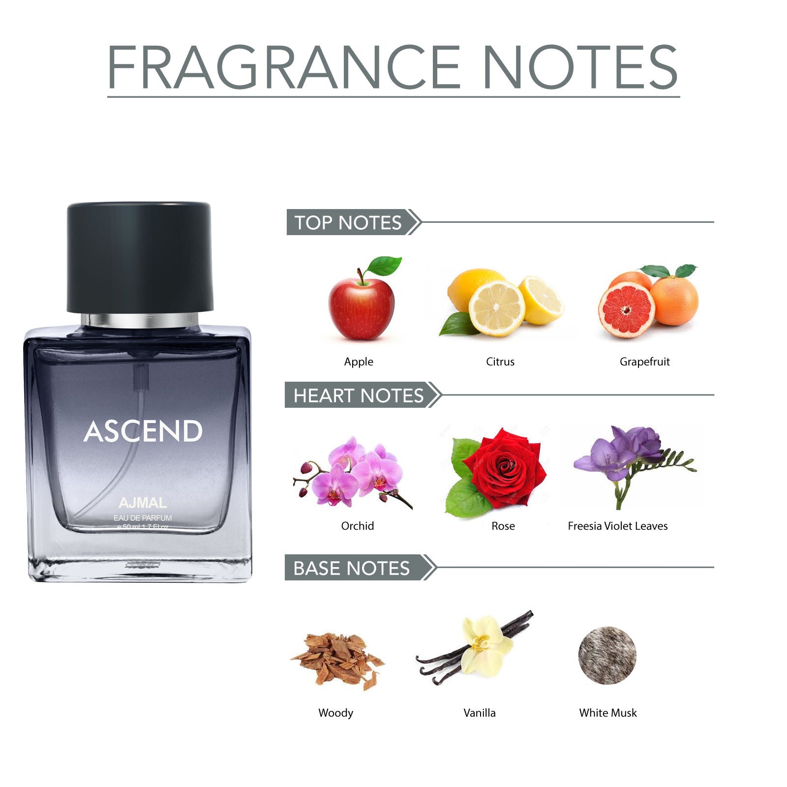 Ajmal Ascend EDP Perfume For Women And Men