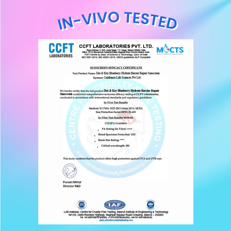 Blueberry Hydrate Barrier Repair Sunscreen SPF 50+ PA++++ In-Vivo Tested