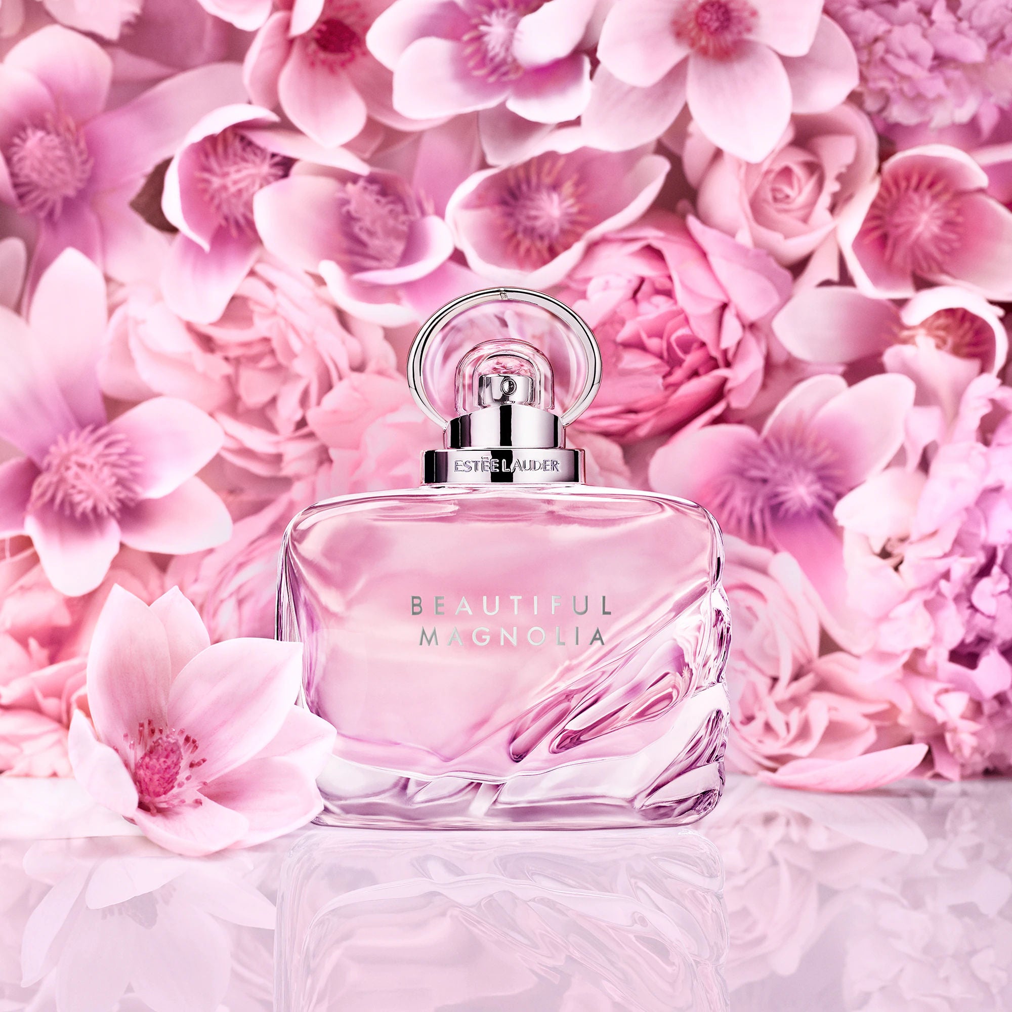 Beautiful Magnolia For Her
