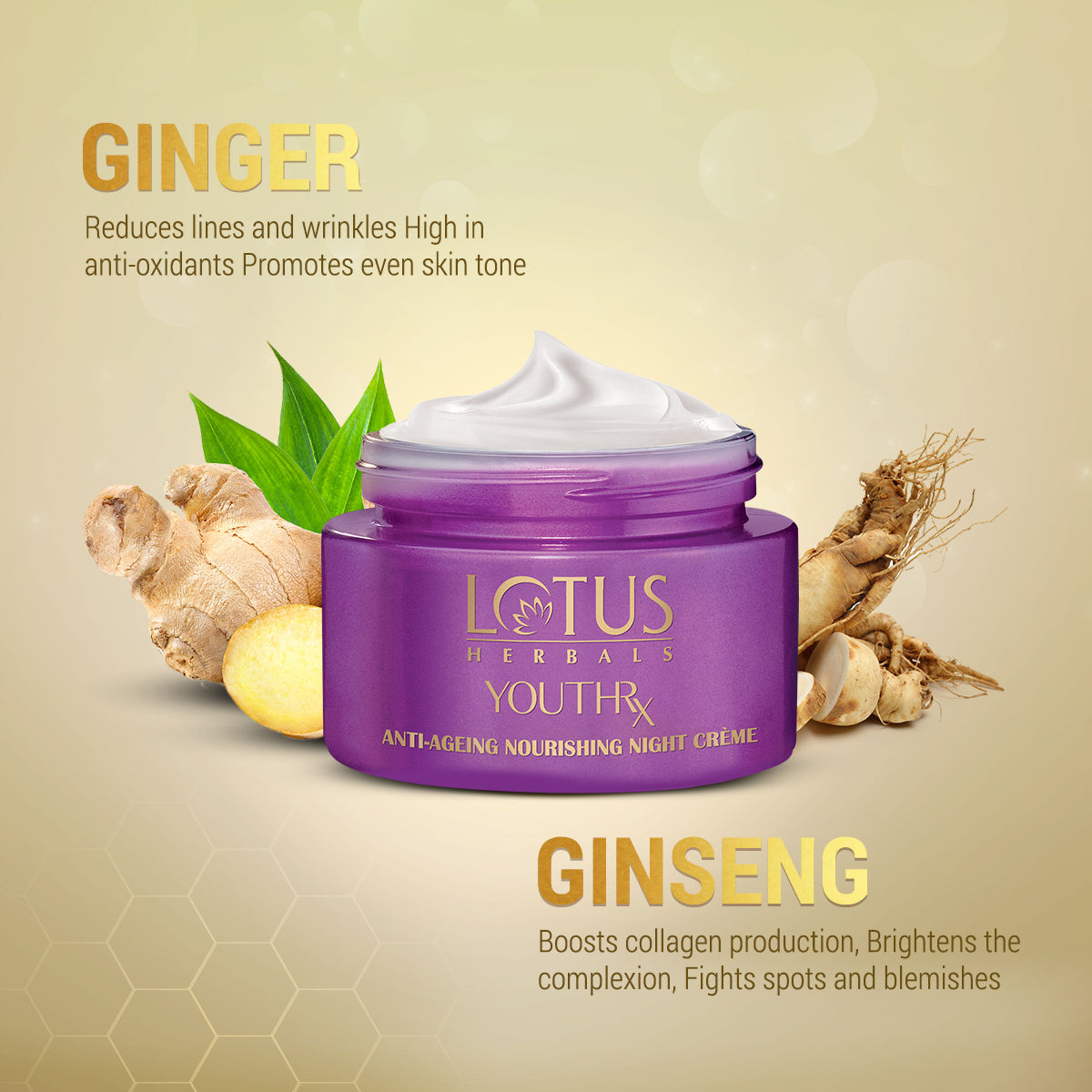 YouthRx Anti-Ageing Nourishing Night Face Cream,Reduces Fine Lines For All Skin Types