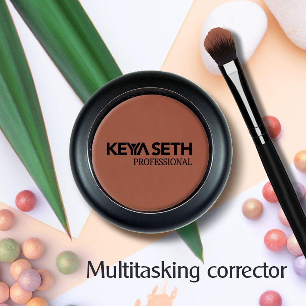 Professional Corrector